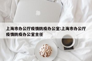 上海市办公厅疫情防疫办公室:上海市办公厅疫情防疫办公室主任