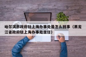 哈尔滨市政府驻上海办事处是怎么回事（黑龙江省政府驻上海办事处主任）