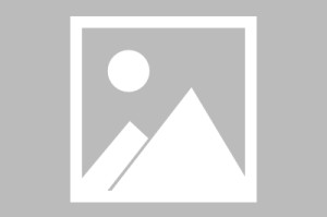 长春的新冠疫苗和北京的新冠疫苗哪个好:新冠疫苗长春和北京是一个厂家吗